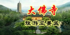 草B免费视频中国浙江-新昌大佛寺旅游风景区